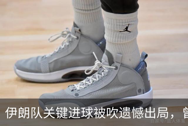 伊朗队关键进球被吹遗憾出局，曾任教哈佛大学的伊朗学者向FIFA索赔10亿美元